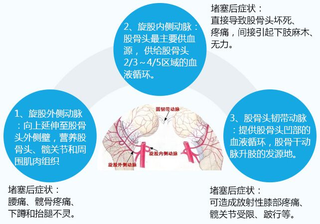 辽宁京城保髋医院