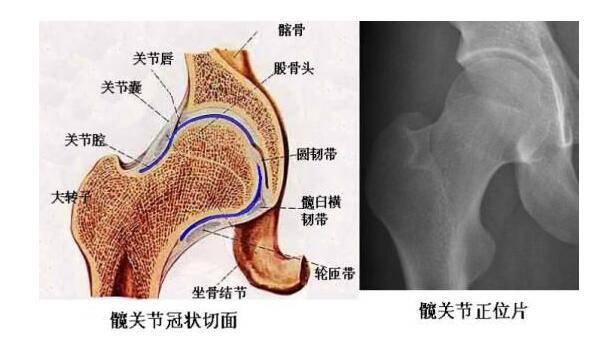 QQ截图20160513101511.jpg