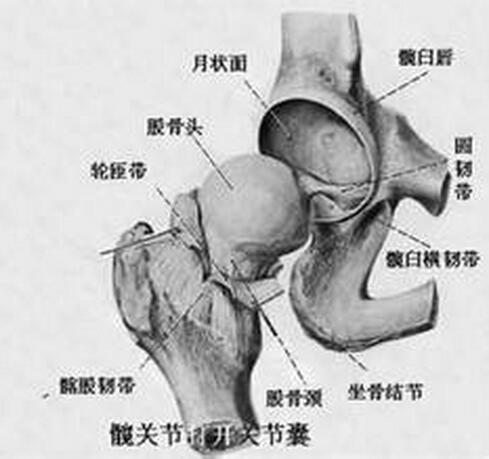 QQ截图20160617155204.jpg